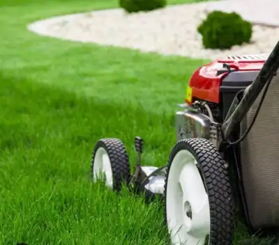 Grass Cutting Helper Needed, View more