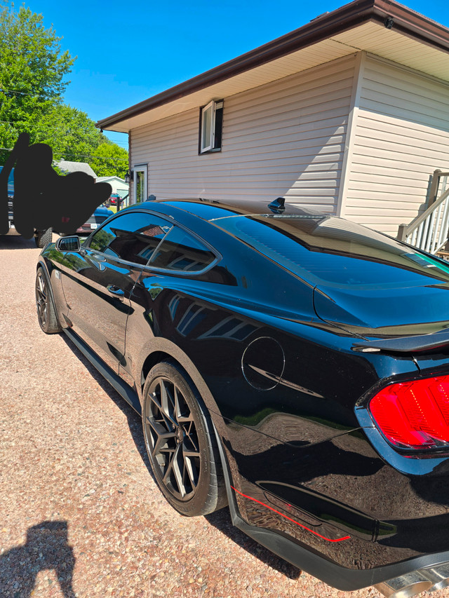 2023 Mach 1 in Cars & Trucks in Sudbury - Image 3