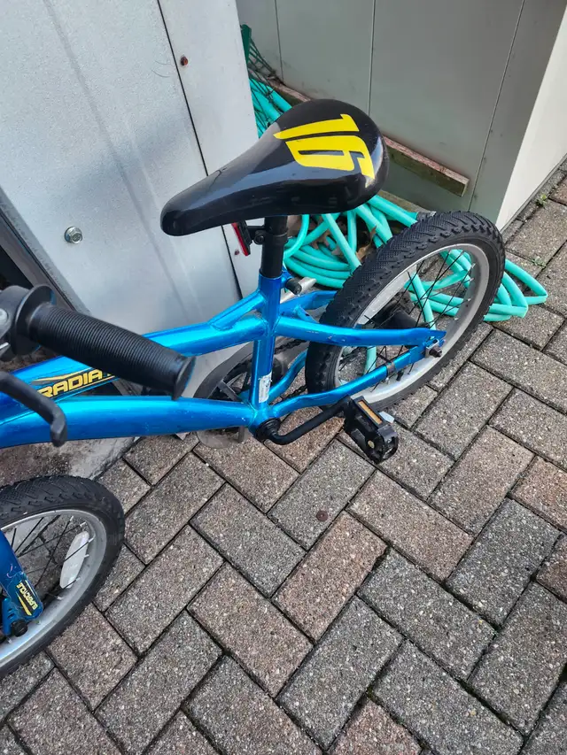 2 Bikes for sale ,Supercycle 20 inch,blue,and Radiate16 inch,bot in Kids in Windsor Region - Image 6