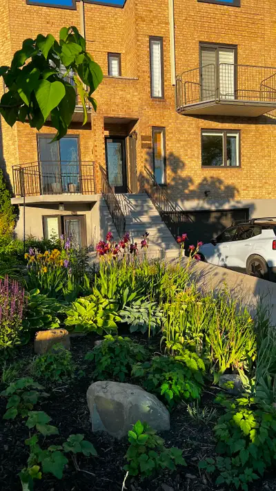 Logement très éclairé, situé au 2e. Une grande chambre et grande pièce pour salle à manger et salon....