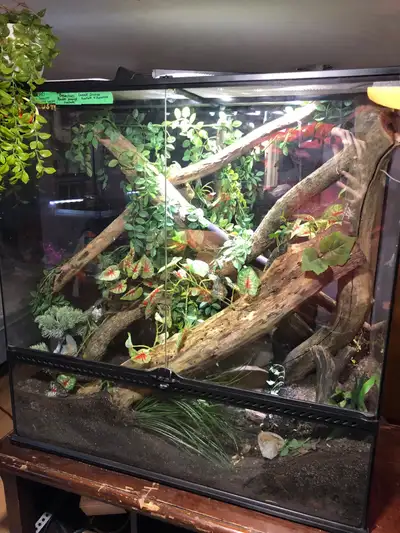 reptile tank, View more