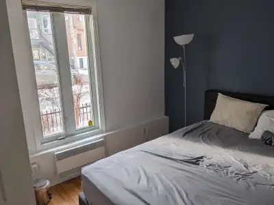 Plateau-Mont-Royal: chambre à louer/room for rent