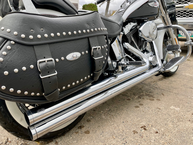 2005 Harley Davidson Heritage Softail Deluxe in Street, Cruisers & Choppers in Winnipeg - Image 4