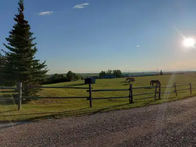 Pasture Horse Boarding by Calgary City Limits, View more