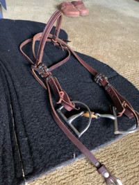 Nice Weaver Western leather bridle