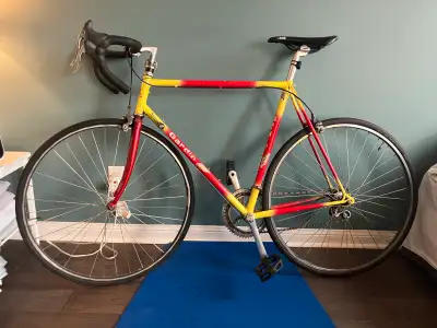Gardin Bike + Cinelli Aluminum Frame – Vintage Road Bike Project, View more