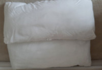 2 Ikea lumbar pillow inserts