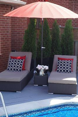 Sunbrella Pool Loungers!!! in Patio & Garden Furniture in Mississauga / Peel Region - Image 3