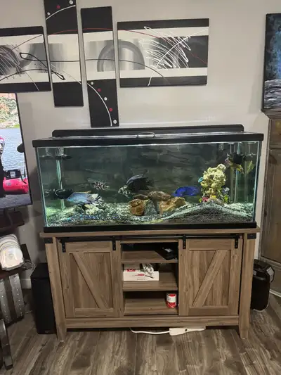 75 gallon aquarium and fish, View more