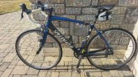 Vélo de route Specialized Roubaix Expert - Tou Carbone