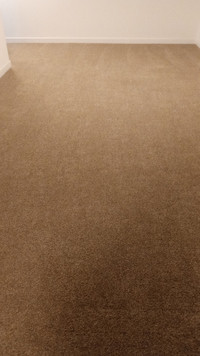 indoor carpet with underlay very good condition