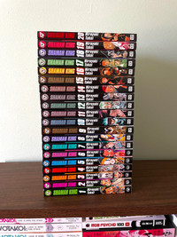 1-20 Shamen King Manga for Sale in English