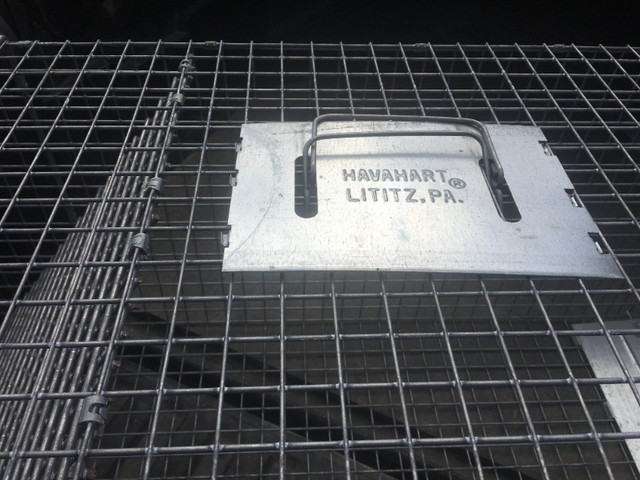 Havahart® X-Large 1-Door Animal Trap in Accessories in Dartmouth - Image 3