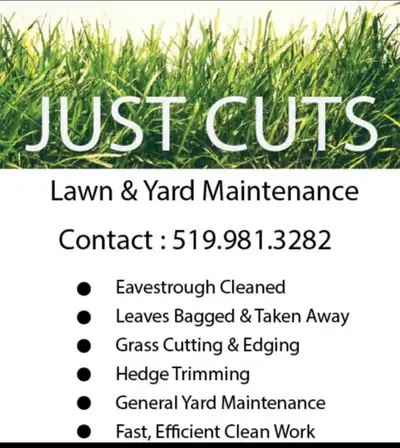 Yard CLEAN Ups LEAVES Weeds Tree Branch/Bush Removal Eavestrough, View more