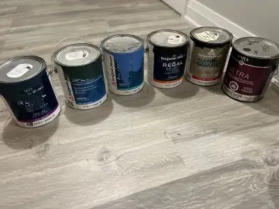 Benamin Morre - 1 Gallon Paint cans, View more