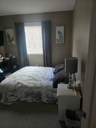looking for housemate