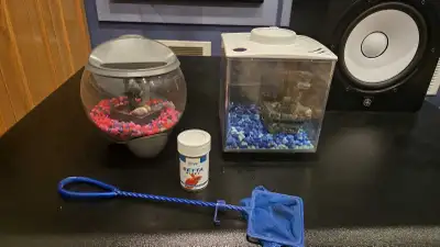 I have two fishbowls for goldfish or betta fish. Congress with a net and some betta food. $10 each o...