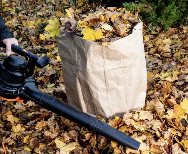 Snowblowing & leaf removal in General Labour in Thunder Bay - Image 4