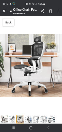 Ergonomic office and gaming chair