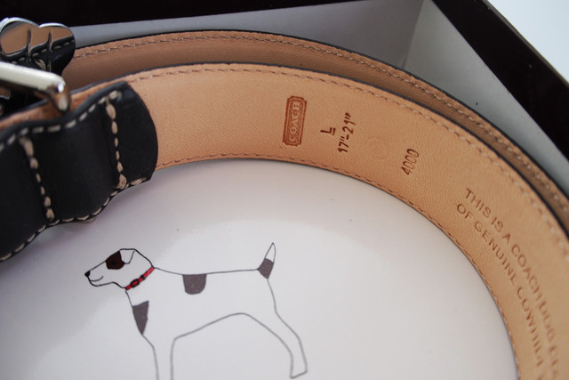 COACH Collar + Leash - NEW - Large Dogs in Accessories in Sudbury - Image 2
