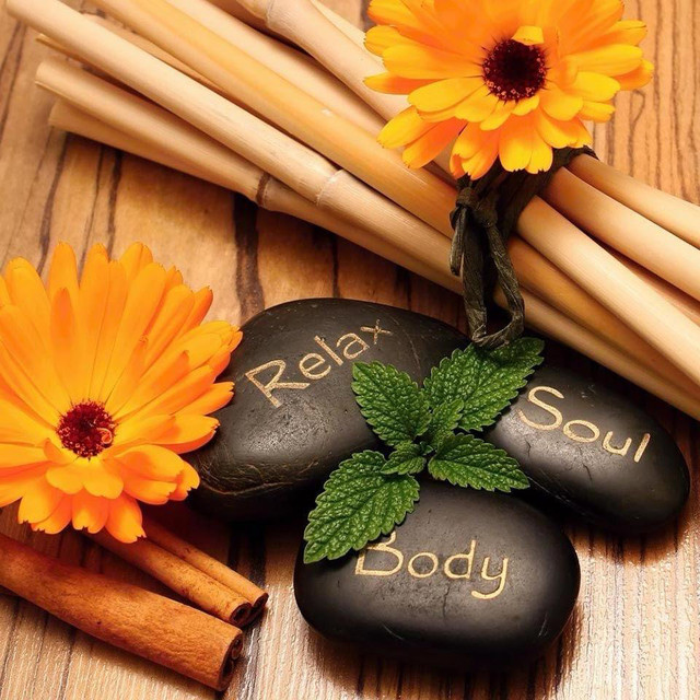 massage therapy - Mississauga / Peel Region in Massage Services in Mississauga / Peel Region - Image 4