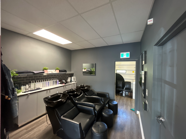 Save 20% on all paint projects if you book before Feb 1st! in Painters & Painting in Cambridge - Image 5