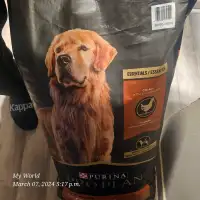 Dog food 
