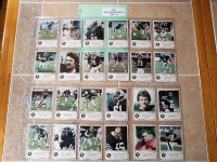 CFL Ottawa Rough Riders Card Sets 1982 to 1985