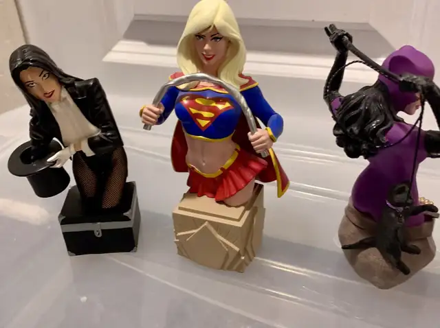 DC Direct Women of the DC Universe busts. in Arts & Collectibles in Burnaby/New Westminster - Image 7