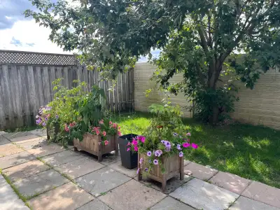 Location Location Legal 2-bedroom walkout basement apartment with backyard and patio to use and with...