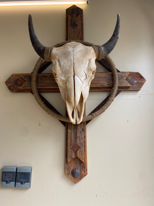 Buffalo Skull Wall Hanging in Arts & Collectibles in Kawartha Lakes