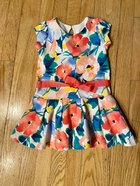 Girl’s summer dress (4T)
