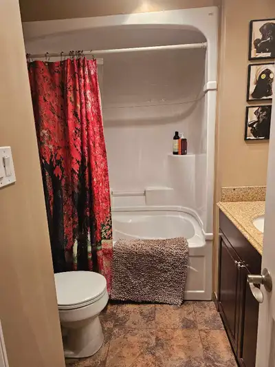 Located downtown Sparwood B.C Rent $550.00/month Damage deposit $100.00 Furnished with Queen size be...