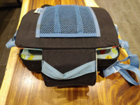Travel Booster Seat - Fair Condition $15
