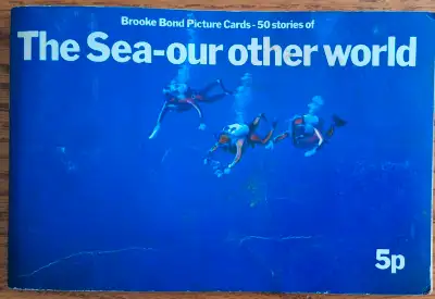 1974 PG Teacards Album Full Set, View more