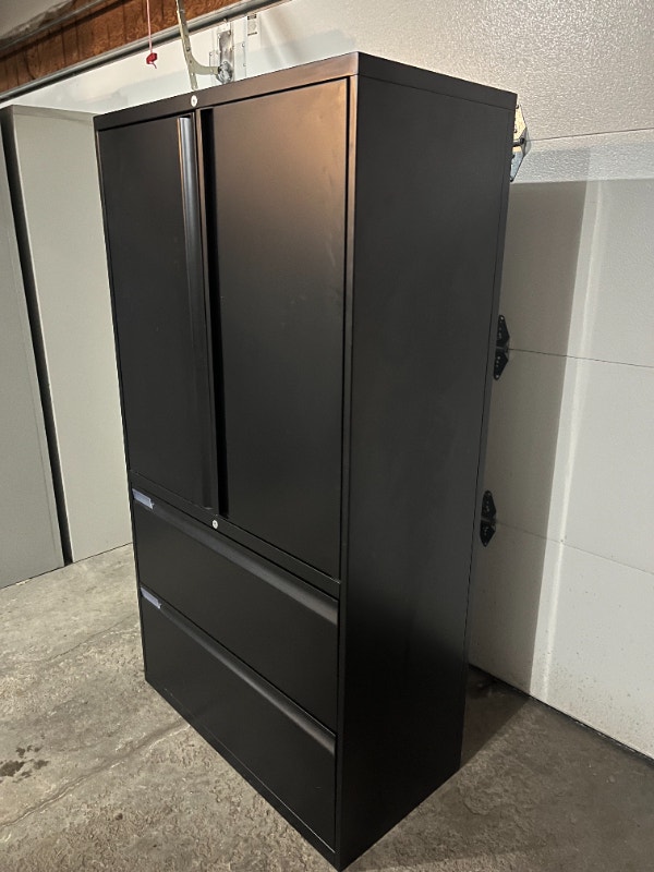 Teknion 2Door / 2Drawer Combo File / Filing Storage