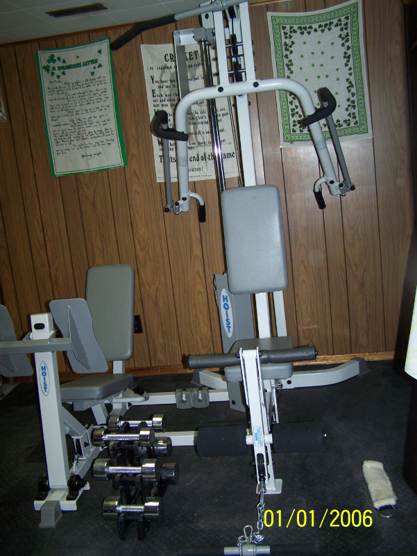 48 ads for hoist gym in Exercise Equipment in Ontario Kijiji Marketplaces