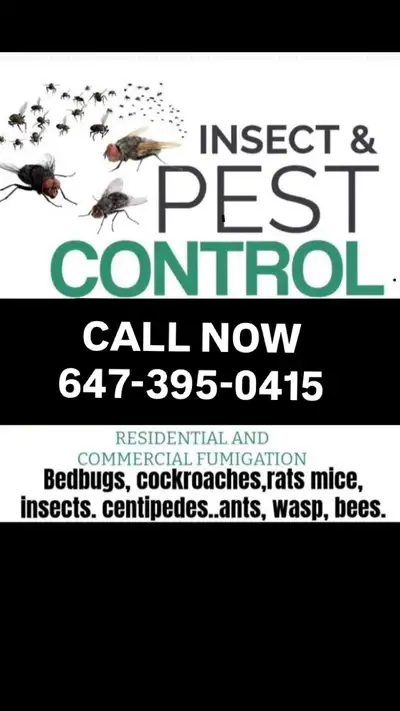 Summer’s here and so are the bugs. Whether it’s ants, spiders, mosquitoes, cockroaches, flies, or an...