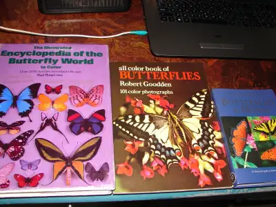 BUTTERFLY BOOK COLLECTION, View more