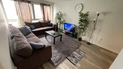 Looking for a clean, mature, and quiet person to share this luxurious 2-bedroom, 1-bathroom condo wi...