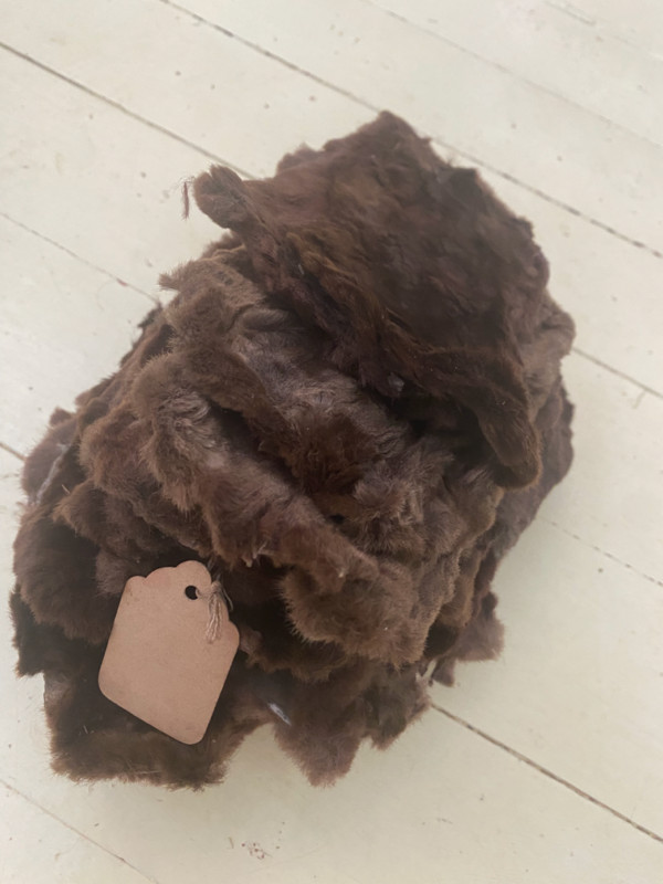 Fur Pelts in Hobbies & Crafts in Cape Breton - Image 4