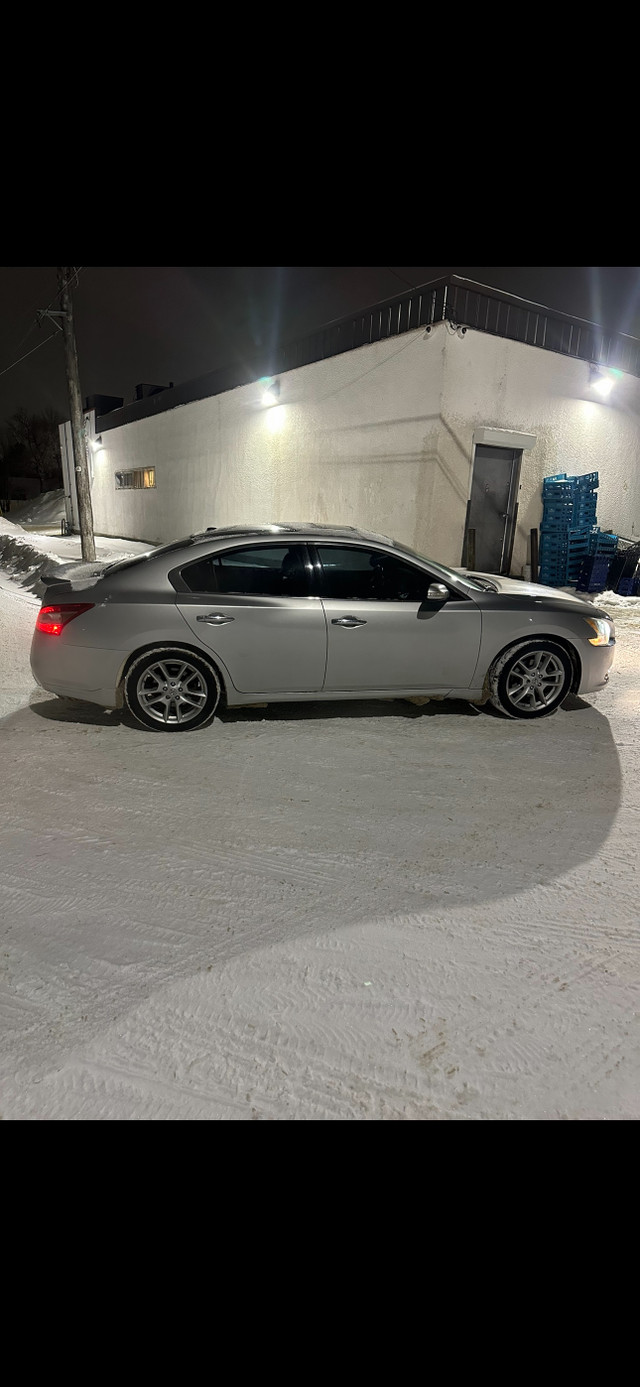 2009 Nissan maxima se  in Cars & Trucks in Winnipeg - Image 2