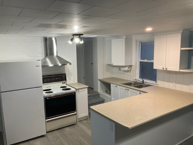 One Bdrm Newly Renovated Apartment in Long Term Rentals in Belleville - Image 4