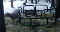 Hay bale feeder for livestock