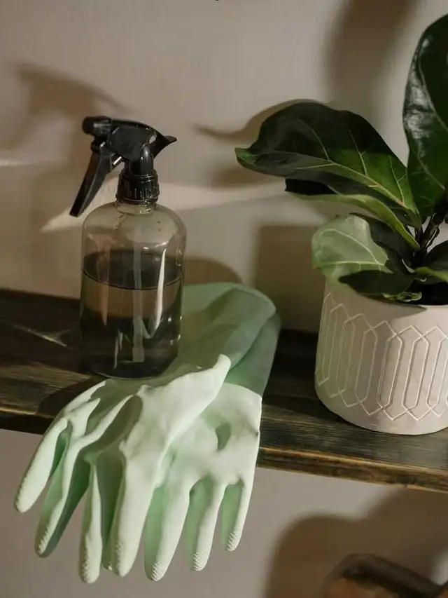 Housekeeping Service517158984787568647
