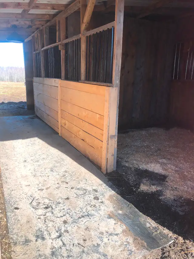 350$ stalls with indoor ready this winter available for board in Horses & Ponies for Rehoming in Bedford - Image 8