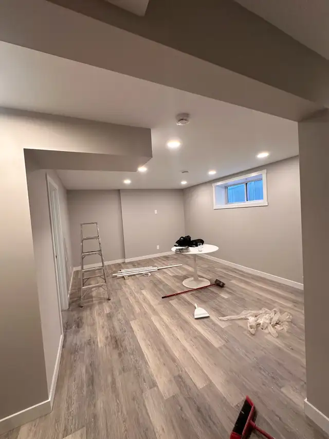 Professional Painter65561306569346120