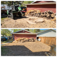 Quality Low Cost Stump Grinding 