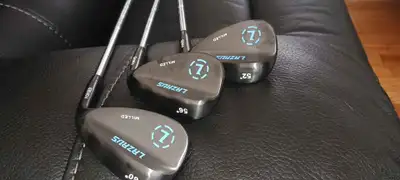 New set of 3-Lazarus Wedges, View more