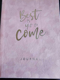 2 x Suede cover journals